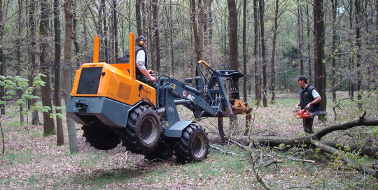 uitdunnen-bos-goirle-05